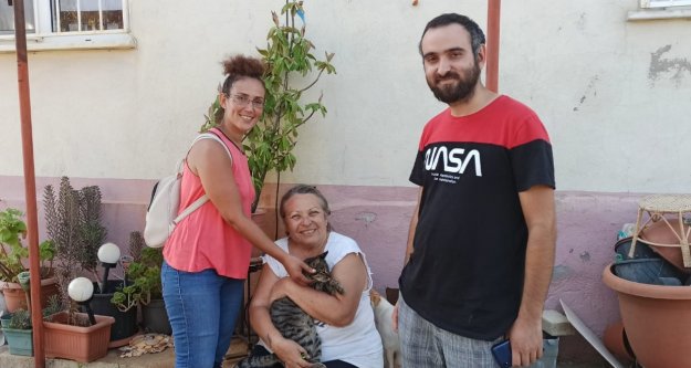 'Sokak hayvanlarının yeri sokaktır'