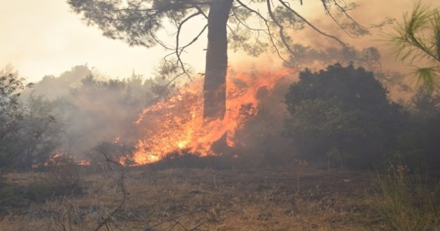 Tatil merkezi Adrasan'da 60 hektarlık ormanlık alan zarar gördü