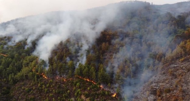 Anamur'da orman yangını! Alanya yolu kapatıldı