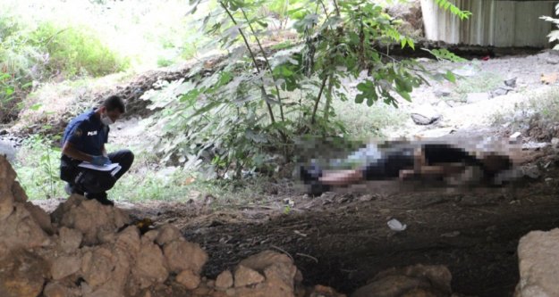 Köprü altında ceset bulundu