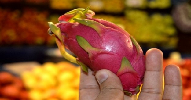 Şekli ve fiyatı ile herkesi şaşırtan ejder meyvesi bu yıl da tezgahlardaki yerini aldı