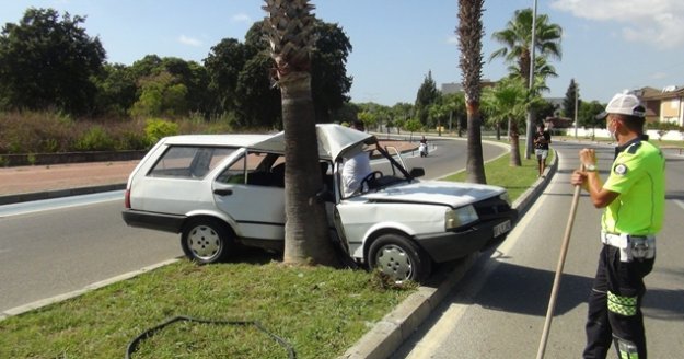 Virajı alamayan ehliyetsiz sürücü palmiyeye çarptı: 1 yaralı