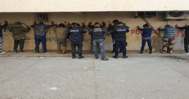 300 polisle dev uyuşturucu operasyonu