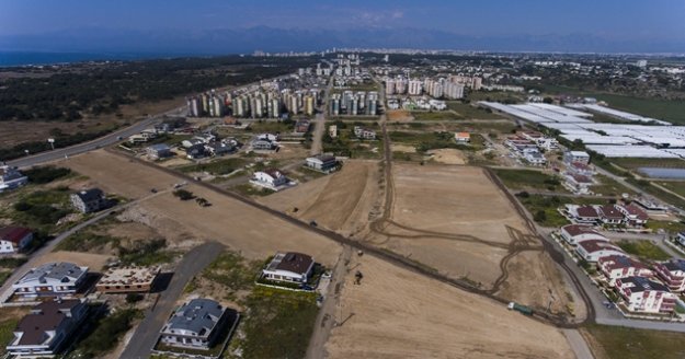 Antalya’da şehrin göbeğine buğday tarlası
