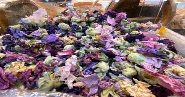 Birçok hastalığa iyi gelen Hatmi çiçeğinin kilosu 200 lirayı buluyor