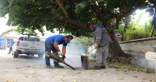 Büyükşehir Alanya'da  sinekle mücadelede kış mesaisine geçti