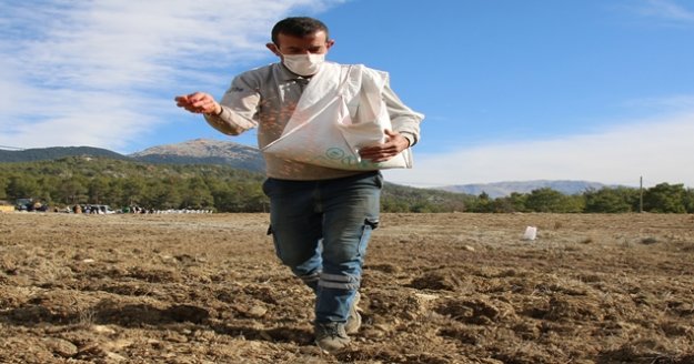 Gündoğmuşlu çiftçiler ekime başladı