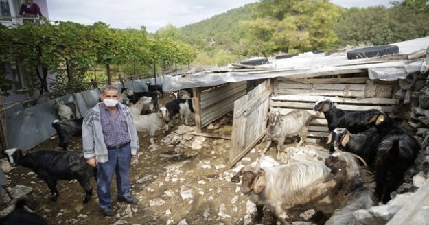 Gündoğmuş’ta üreticilere eğitim verildi