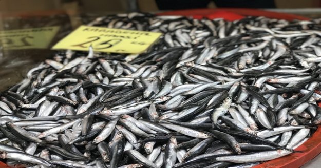 Hamsinin fiyatı yarı yarıya düştü