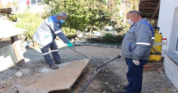 İlçelerde sinekle mücadele sürüyor