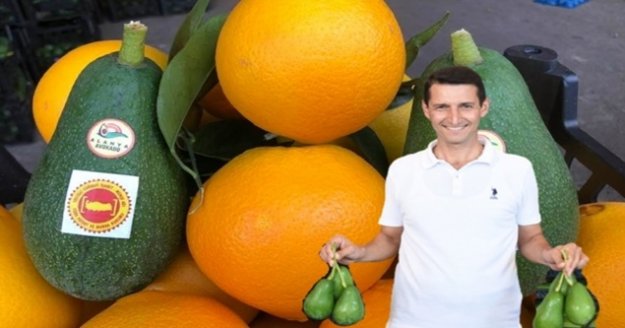 Sevilgen Alanyaspor'un yenilmezlik sırrını açıkladı