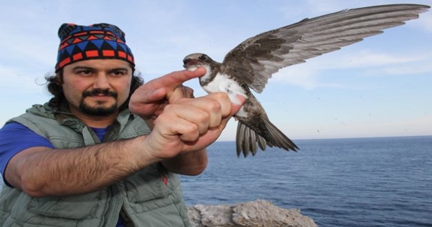 Alanya'da Akkarınlı Ebabil'den 58 saatte 3 bin kilometrelik rekor uçuş