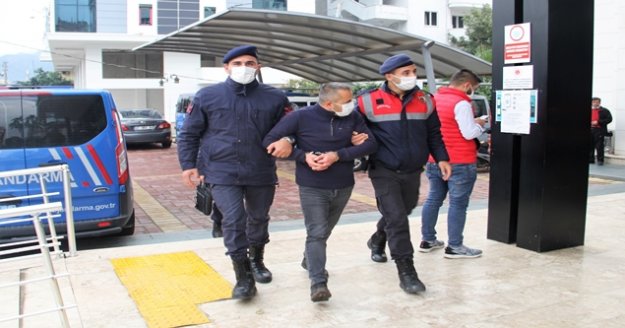 Alanya'da bahçelerden iki ayda 260 bin TL değerinde avokado çaldı, son işinde yakalandı