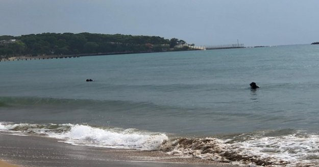 Alanya'da define avcıları sualtına dalış yaparak turistlerin düşürdüğü altınları arıyor