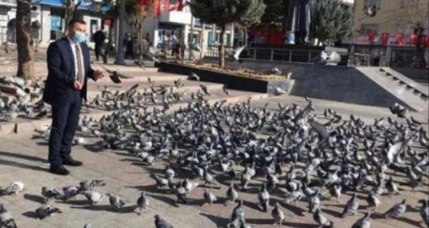 Başkan Yücel Aksaray'da güvercinleri besledi