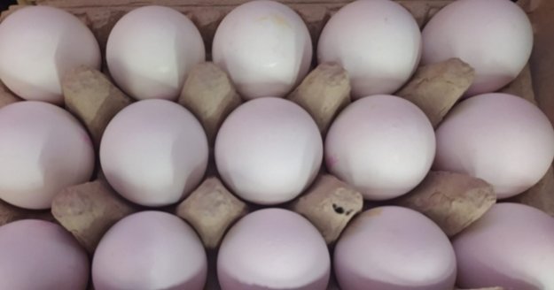 Bir koli yumurta 1 kilo kıymayı yakaladı