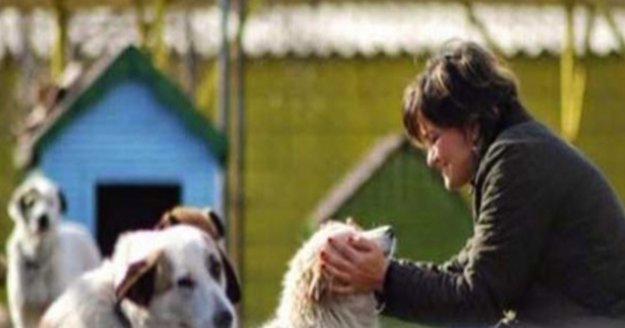 Büyükşehir'den Petshop ve Yerel Hayvan Koruma Görevlisi eğitimi