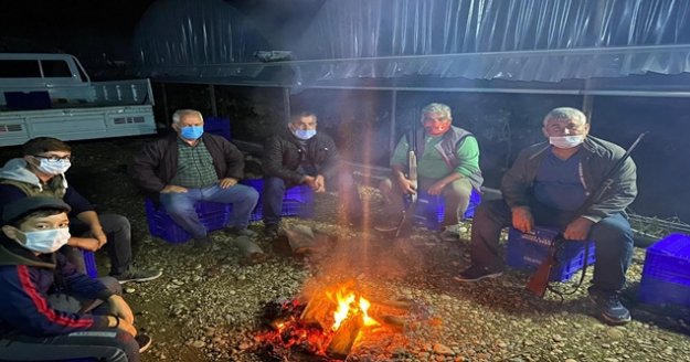 Domatesin fiyatı artınca seralara dadanan hırsızlar için silahlı nöbet tutuyorlar