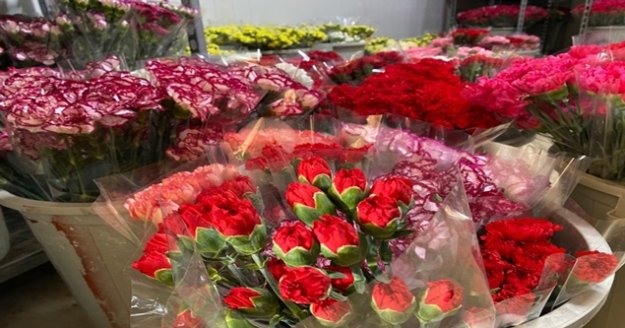 Kesme çiçek sektörü pandemiye meydan okudu