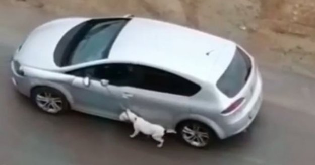 Köpeğini tasmasından tutup otomobilden sürükleyerek gezdirdi