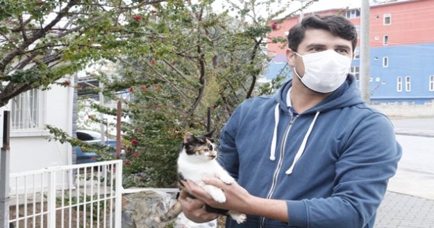 Mola yerinde kaybettiği kedisi için 400 kilometre geri geldi