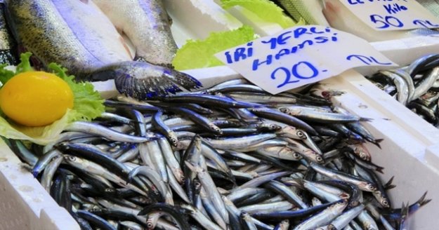 Palamut sezonu bitti, Karadeniz hamsisi 20 lira