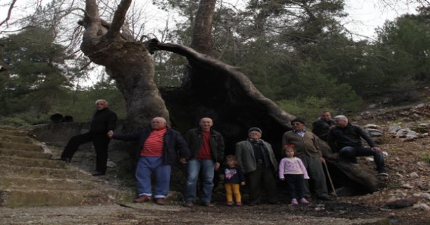 700 Yıldır ayakta kalmayı başardı
