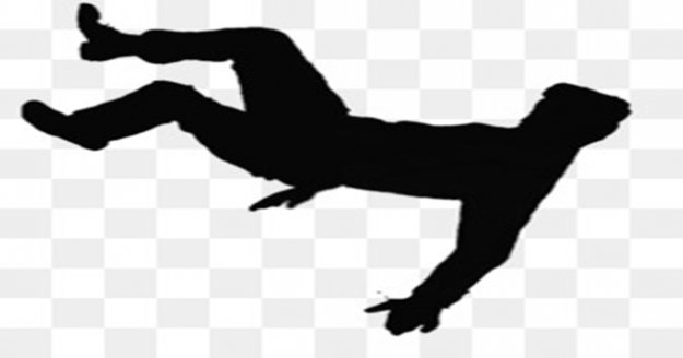 Alanya'da ağaçtan düşen adam ağır yaralandı