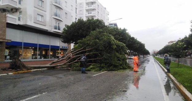 Antalya'da ekiplerin fırtına ve yağmur seferberliği