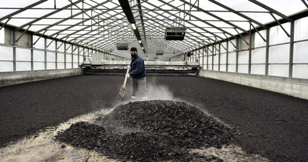 Atığı enerjiye dönüştüren inovasyon doğayı 2 bin 645 ton çamurdan kurtardı