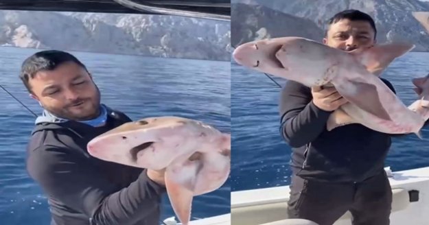 Balıkçıların oltasına 1,5 metrelik köpek balığı takıldı