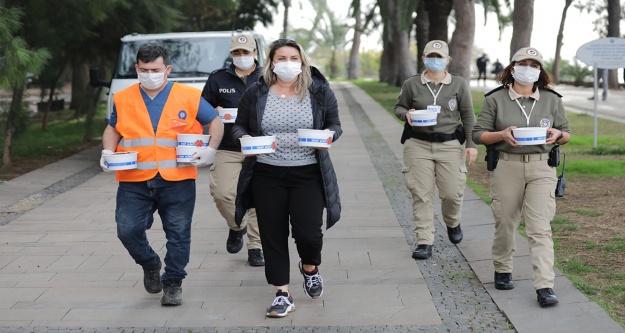 Büyükşehir ve emniyet sokak hayvanlarıni besledi
