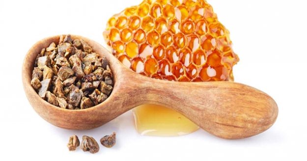 Düzenli propolis tüketimi kanser tedavilerini destekliyor