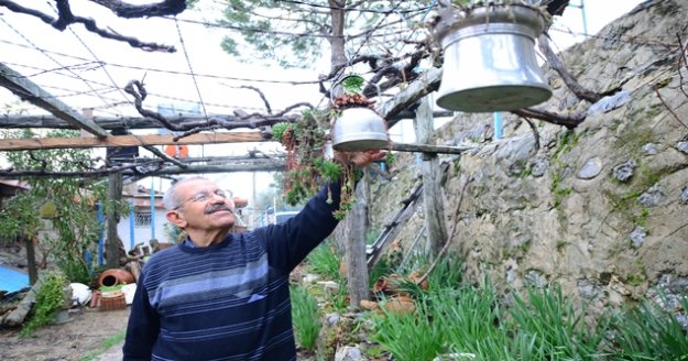 Emekli öğretmenin geri dönüşüm saksıları
