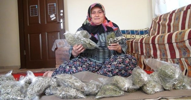 Geçimini dağlarda yetişen otlardan sağlıyor