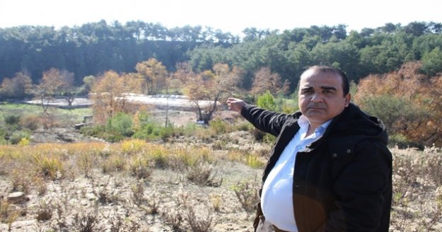 Kaldırılan domuz çiftliğinin atıkları mikrop saçıyor