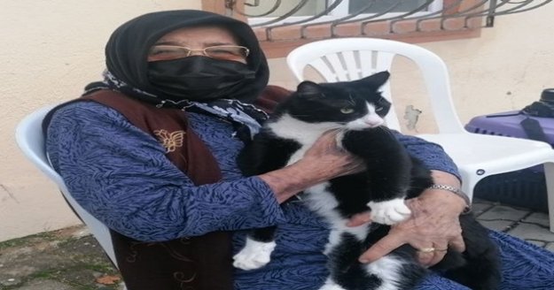 Kedisini severken sertliği hissetti, soluğu jandarmada aldı