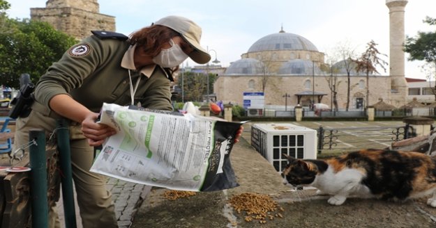 Polis ekipleri sokak hayvanları için günde 50 kilo mama dağıtıyor