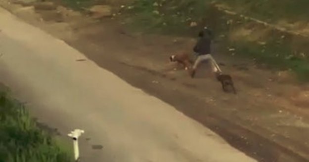 Sokak ortasında vicdanları sızlatan görüntüler