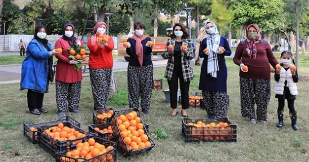 Turunçlar reçel olup sofralara gelecek