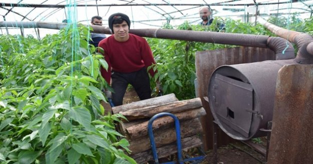 Üreticinin meşakkatli don nöbeti!