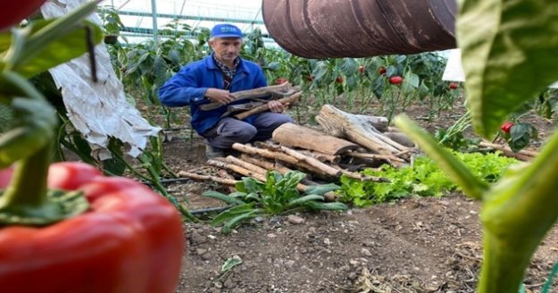 Zirai don uyarısı kadın üreticileri de uyutmadı