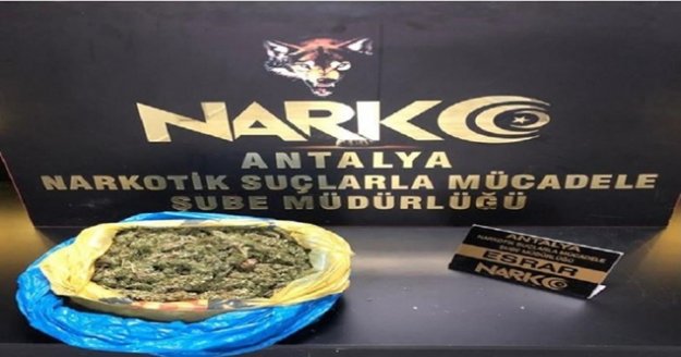 Ocak ayında 350 uyuşturucu operasyonu