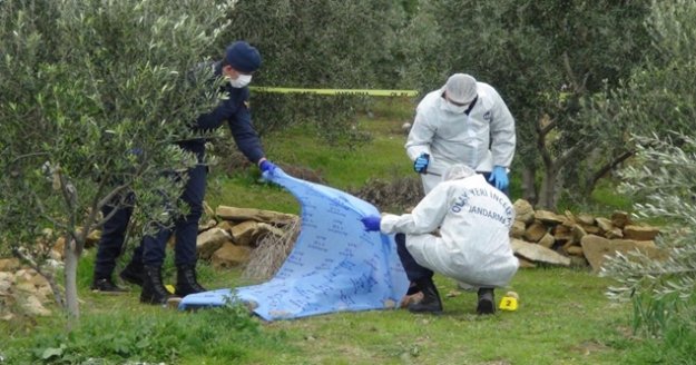 Ağaç kesme tartışmasında ağabeyini öldüren zanlı adliyeye sevk edildi