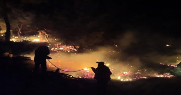 Antalya'daki yangında 1 hektar kızılçam ormanı zarar gördü