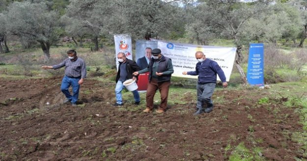 “Arı Otu” tohumu desteği yapıldı
