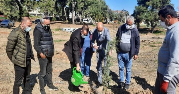 Gazeteciler 250 adet fidanı toprakla buluşturdu