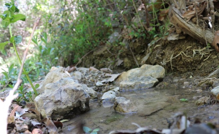 Gazipaşa'da bir sondaj kuyusu 6 kaynağı kuruttu