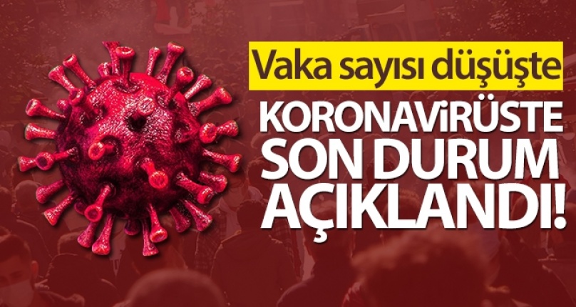 Türkiye'de son 24 saatte 38.553 koronavirüs vakası tespit edildi