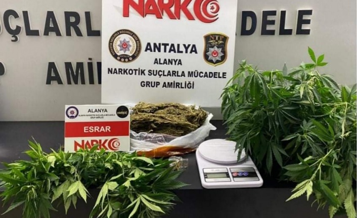 Alanya'da 2 ayrı adrese uyuşturucu baskını